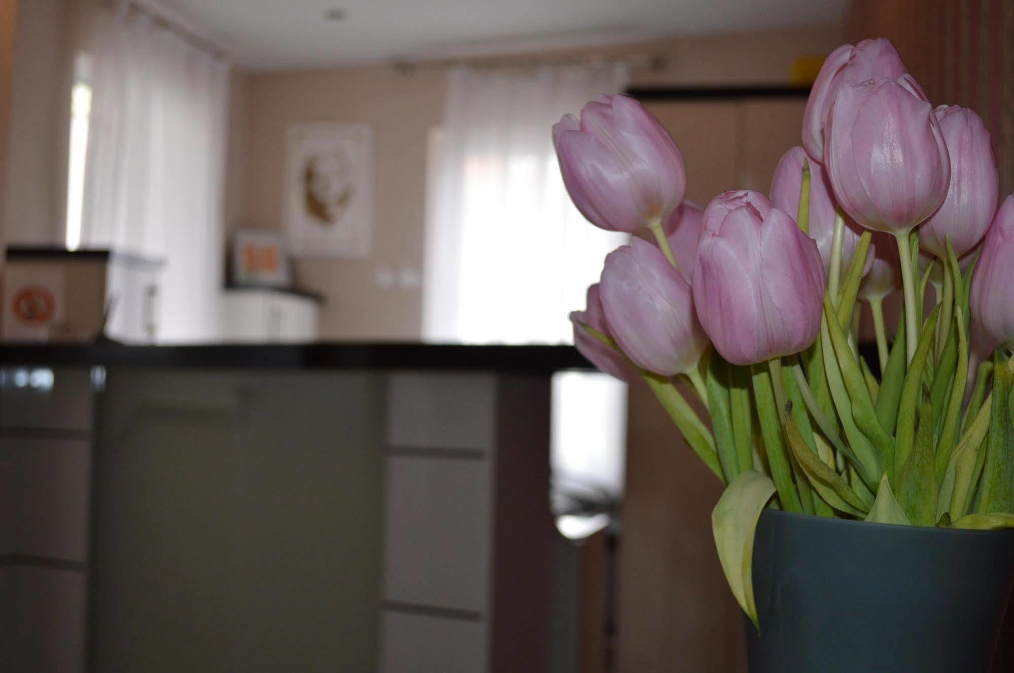 Erde Hotel Erlangen Dış mekan fotoğraf